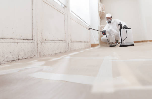 24/7 Emergency Attic Mold Remediation experts in Clifton, TN